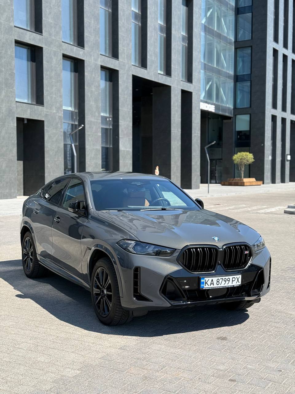 BMW X6