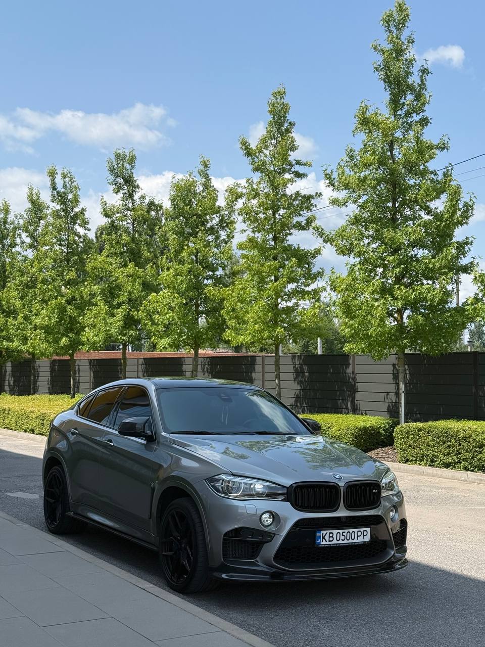 BMW X6